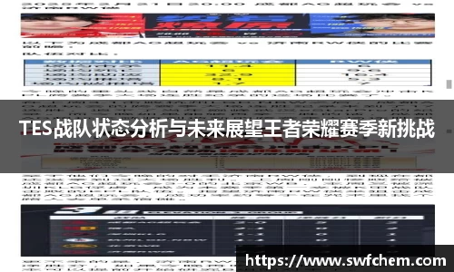 TES战队状态分析与未来展望王者荣耀赛季新挑战